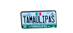 Thehatdog1 Mexico States License Plates Pin