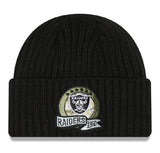 Salute to Service Cuffed Knit Beanie