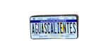 Thehatdog1 Mexico States License Plates Pin