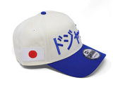 New Era Los Angeles Dodgers kanji 9forty A-frame Snapback Cap
